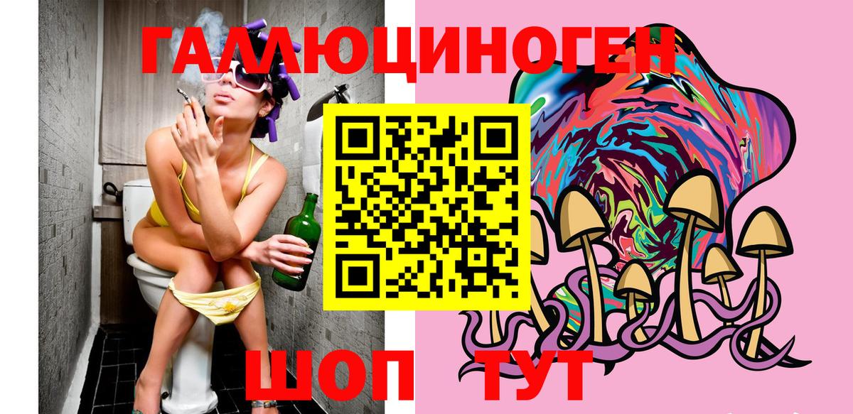 Псилоцибиновые грибы Psilocybine cubensis  Вход с VPN  Реутов 
