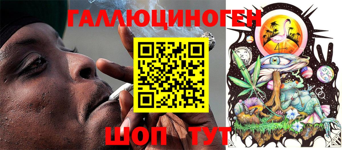 МЕФ Реутов